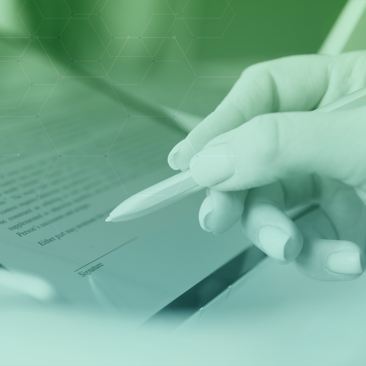 Verbatel. Servizi informatici e telematici.